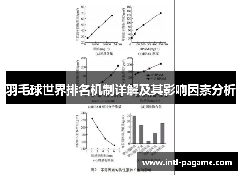 羽毛球世界排名机制详解及其影响因素分析