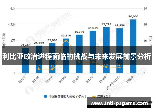 利比亚政治进程面临的挑战与未来发展前景分析