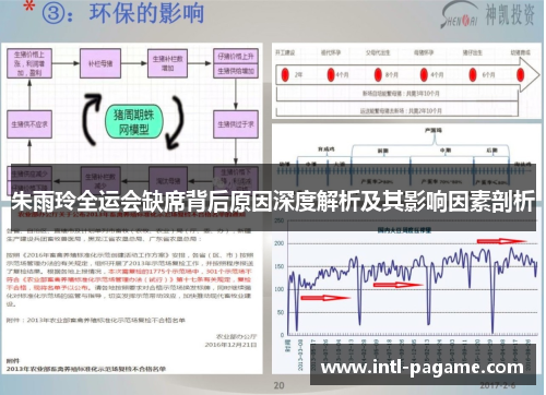 朱雨玲全运会缺席背后原因深度解析及其影响因素剖析