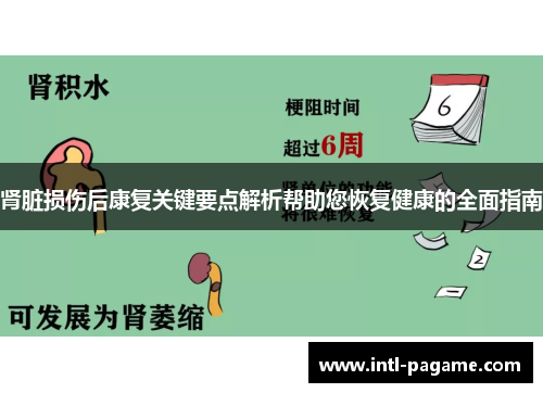 肾脏损伤后康复关键要点解析帮助您恢复健康的全面指南