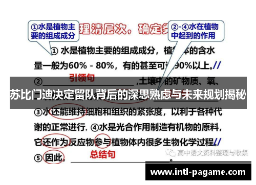 苏比门迪决定留队背后的深思熟虑与未来规划揭秘