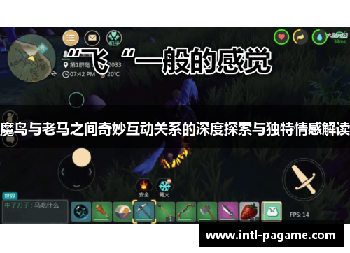 魔鸟与老马之间奇妙互动关系的深度探索与独特情感解读 魔鸟与老马之间奇妙互动关系的深度探索与独特情感解读