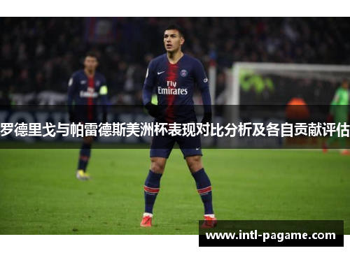 罗德里戈与帕雷德斯美洲杯表现对比分析及各自贡献评估