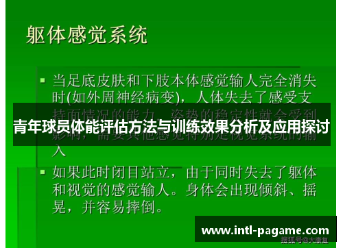 青年球员体能评估方法与训练效果分析及应用探讨