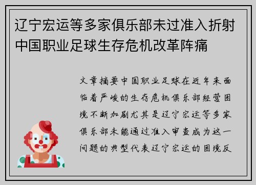 辽宁宏运等多家俱乐部未过准入折射中国职业足球生存危机改革阵痛